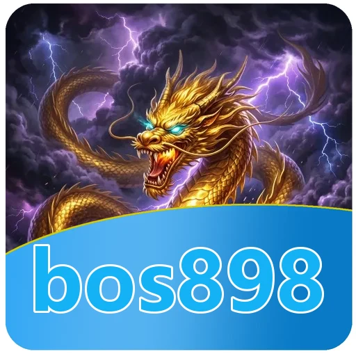 Performa bos898